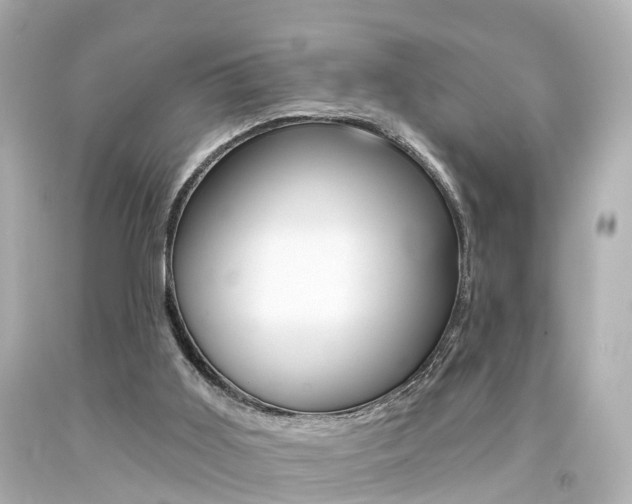 X0000094380011200711020835