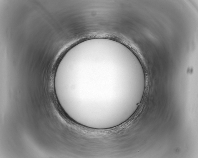 X0000094380012200711020835