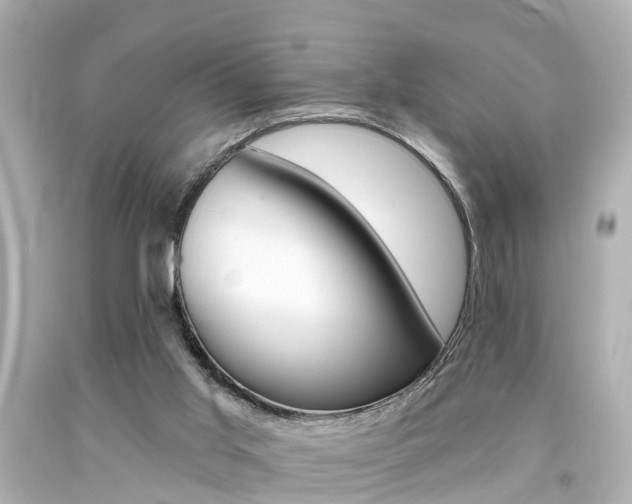 X0000094380013200711020835