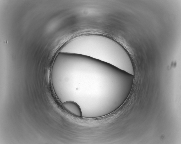 X0000094380014200711020835