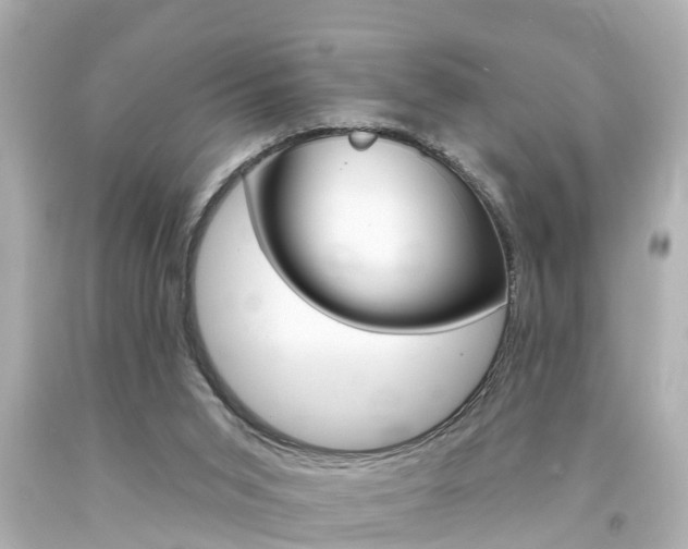 X0000094380015200711020835