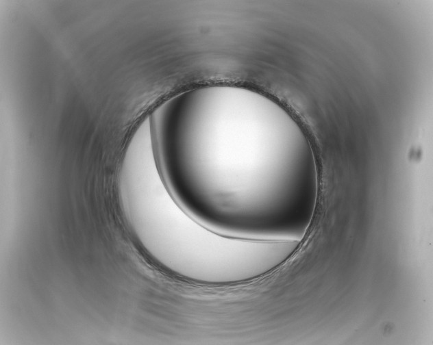 X0000094380017200711020835