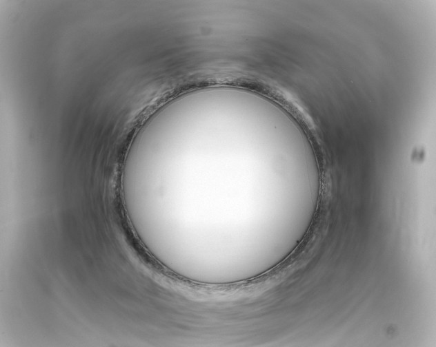 X0000094380018200711020835