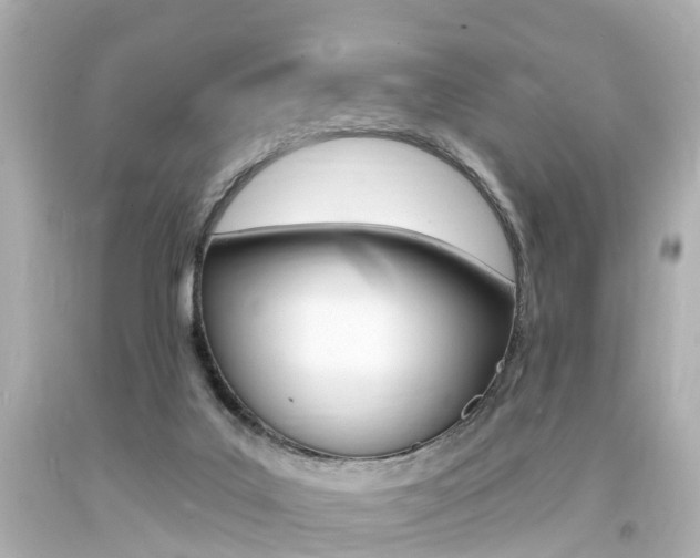 X0000094380019200711020835