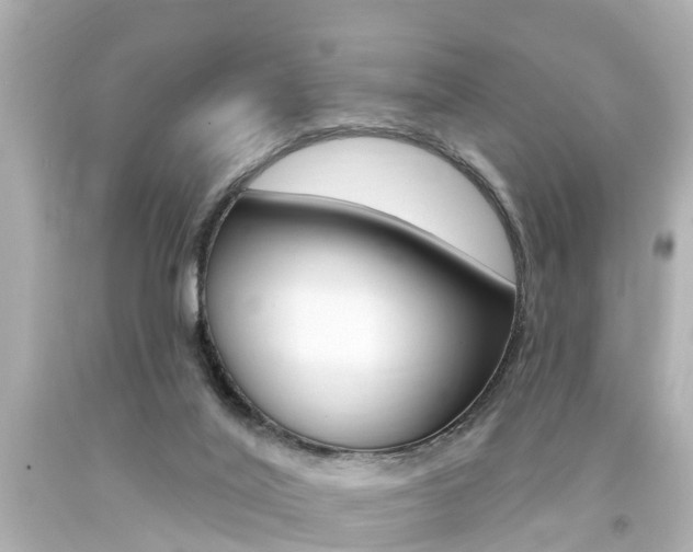 X0000094380020200711020835