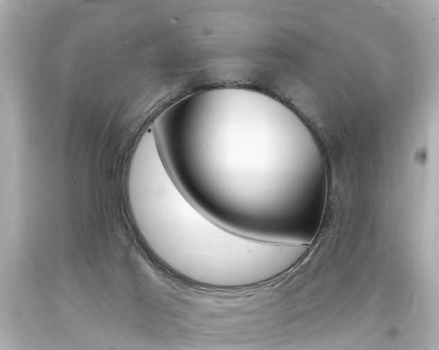 X0000094380021200711020835