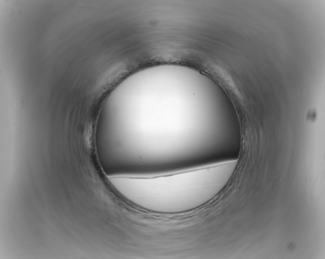 X0000094380023200711020835