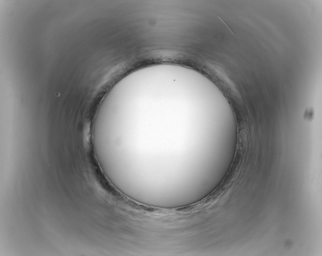 X0000094380024200711020835
