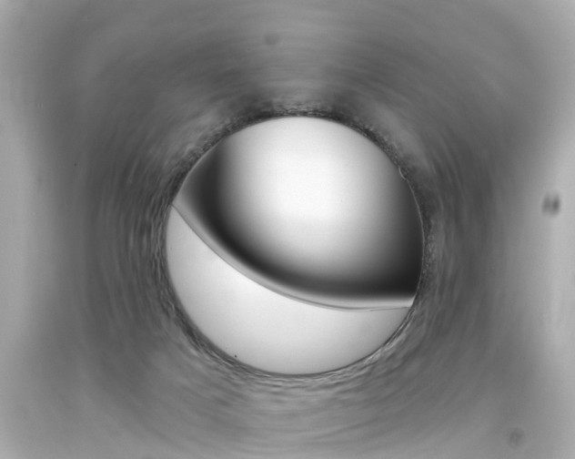 X0000094380025200711020835
