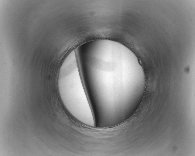 X0000094380027200711020835