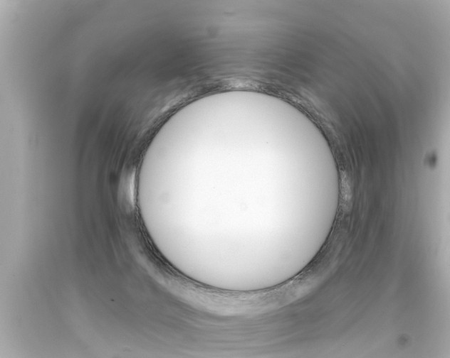 X0000094380028200711020835