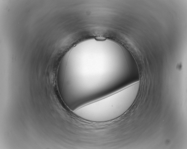 X0000094380031200711020835