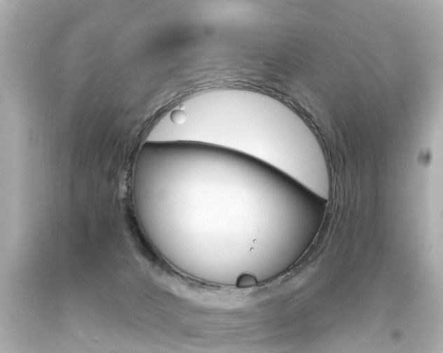 X0000094380032200711020835
