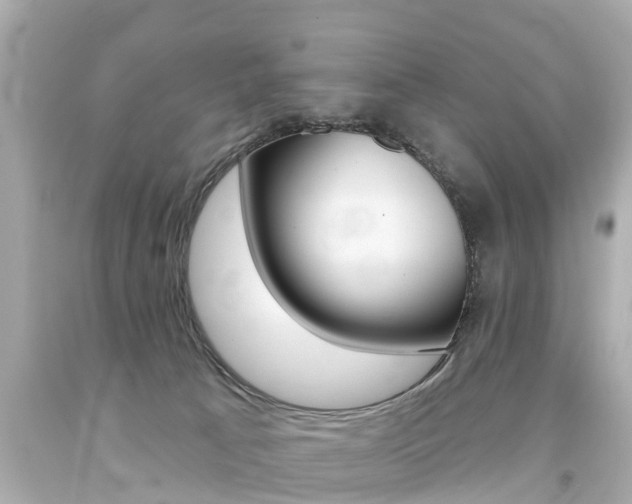X0000094380033200711020835