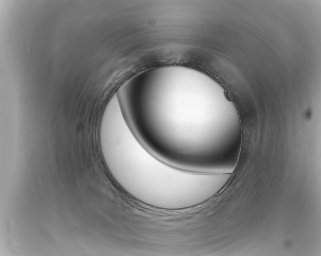 X0000094380035200711020835
