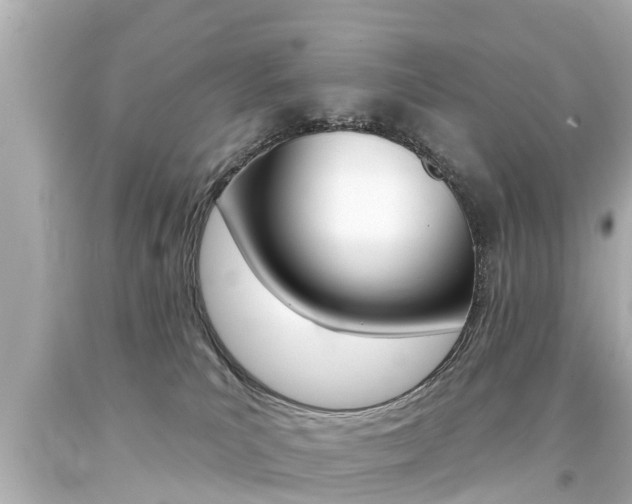 X0000094380039200711020835