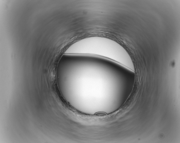 X0000094380040200711020835