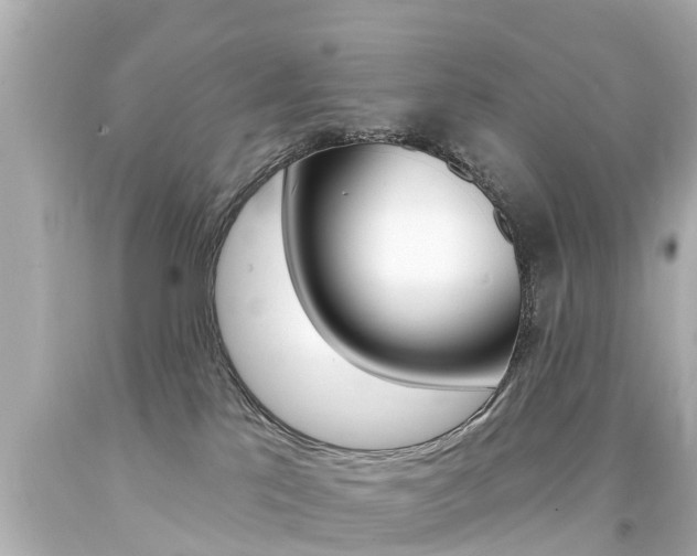 X0000094380041200711020835