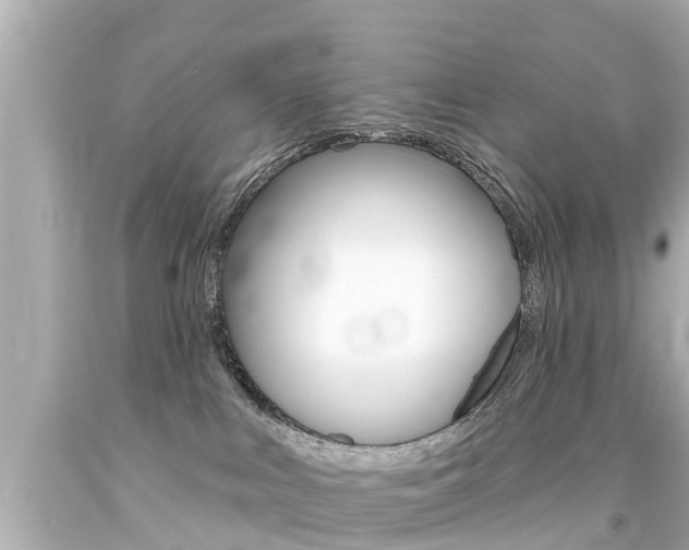 X0000094380043200711020835