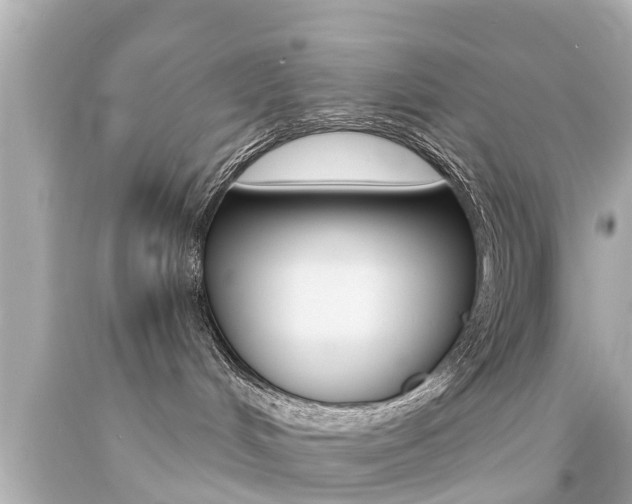 X0000094380048200711020835