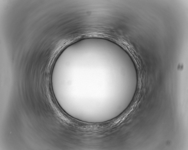X0000094380049200711020834