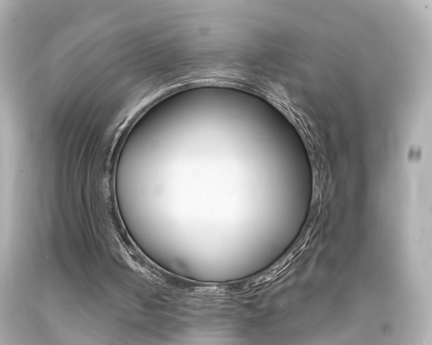 X0000094380050200711020834
