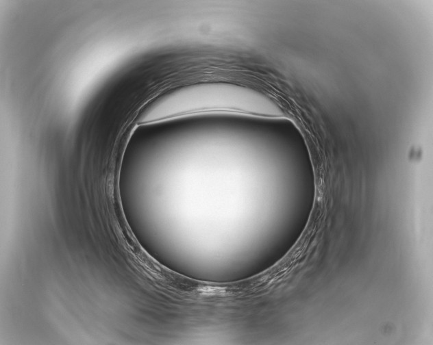 X0000094380052200711020834