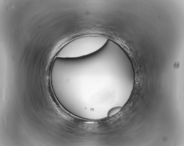X0000094380053200711020834