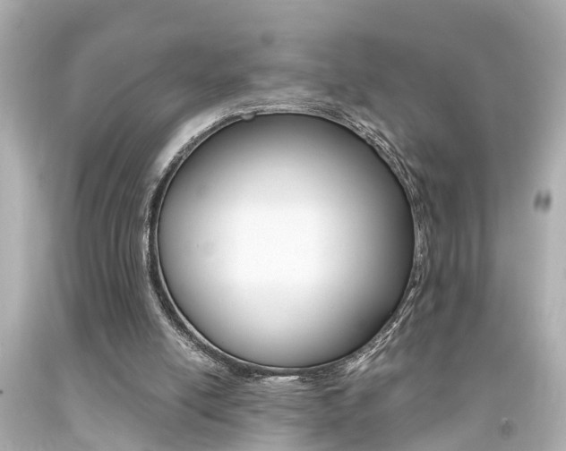 X0000094380054200711020834