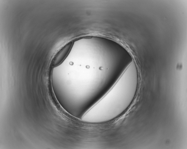 X0000094380055200711020834