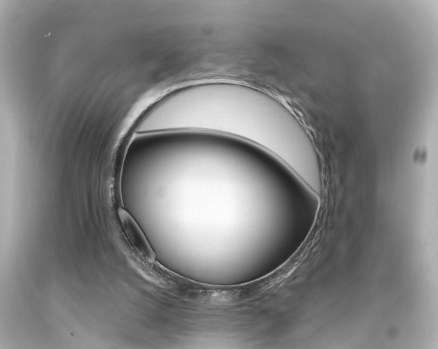 X0000094380056200711020834