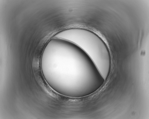 X0000094380057200711020834