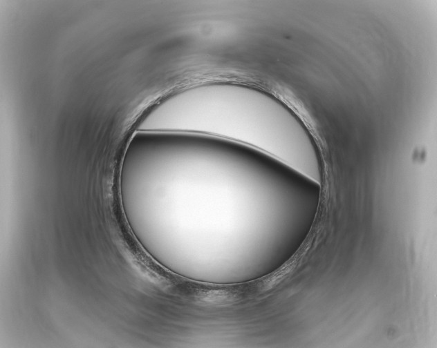 X0000094380058200711020834
