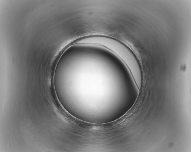 X0000094380060200711020834