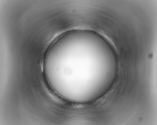 X0000094380062200711020834