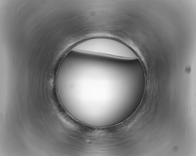 X0000094380063200711020834