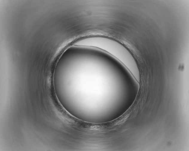 X0000094380064200711020834