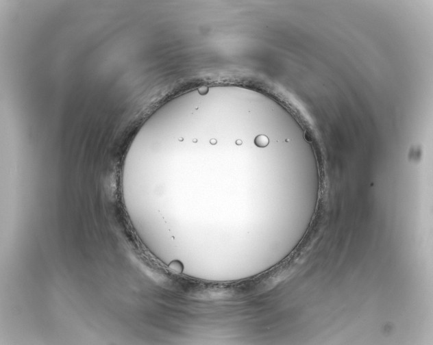 X0000094380065200711020834