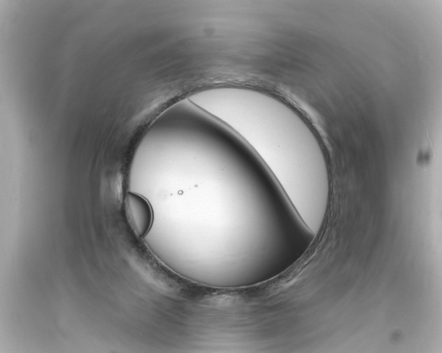 X0000094380067200711020834