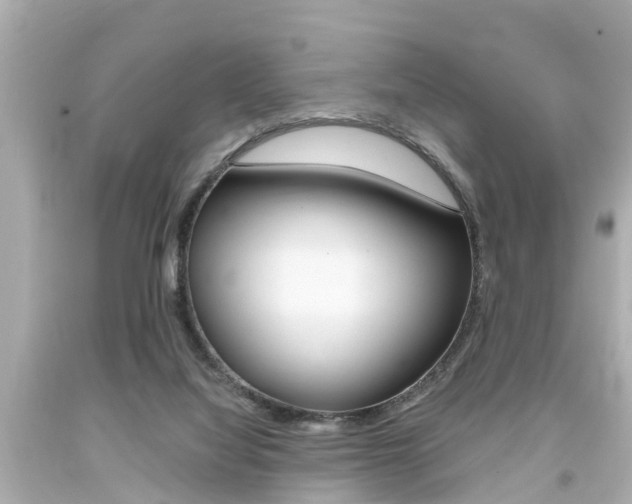 X0000094380068200711020834