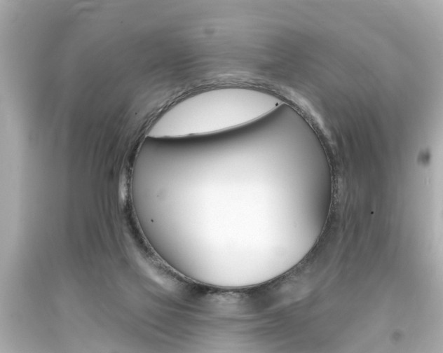 X0000094380069200711020834