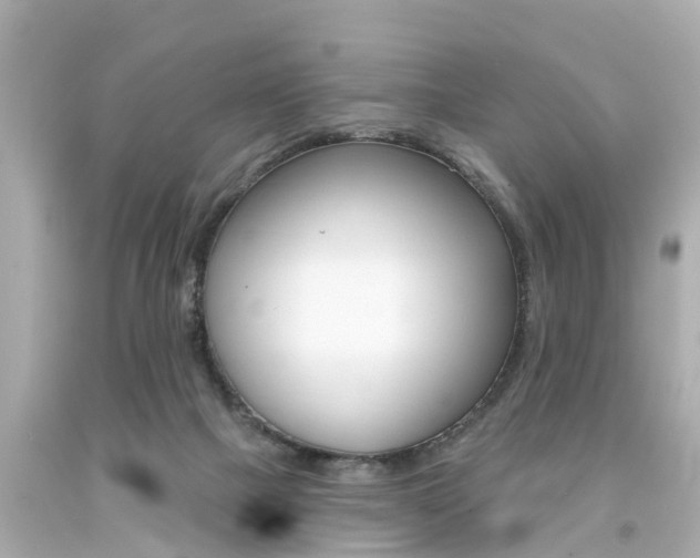 X0000094380073200711020834