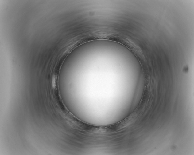 X0000094380075200711020834