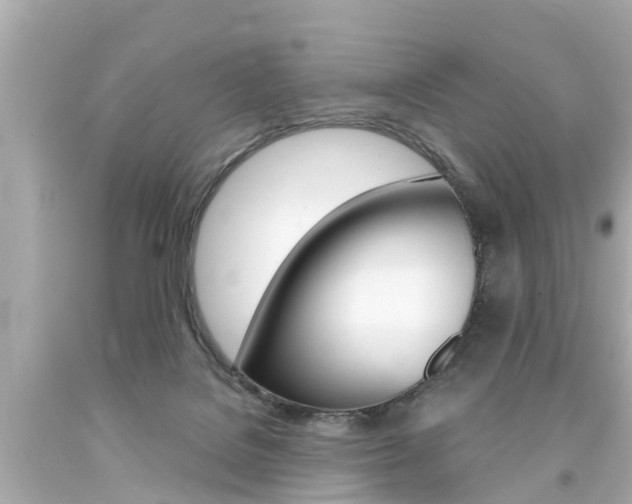 X0000094380076200711020834