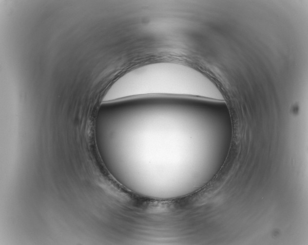 X0000094380077200711020834