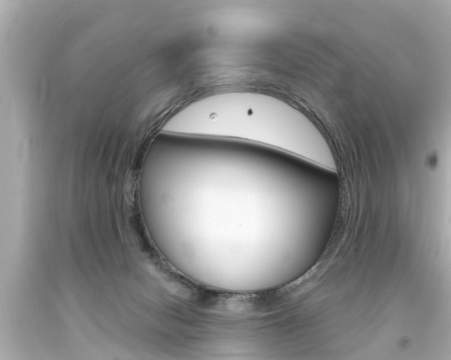 X0000094380078200711020835