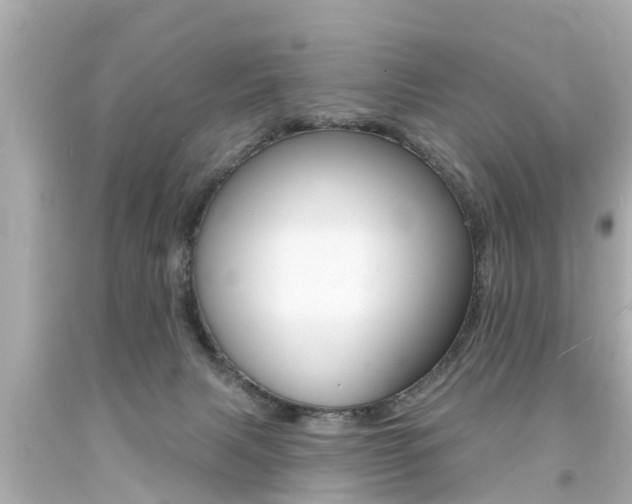 X0000094380079200711020835
