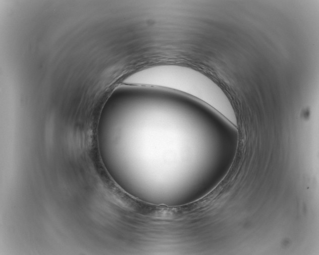 X0000094380080200711020835