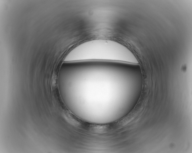 X0000094380081200711020835