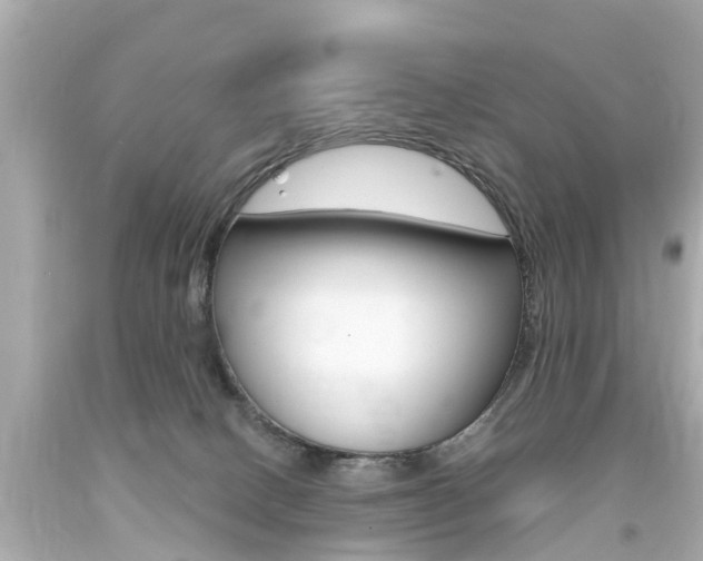 X0000094380082200711020835